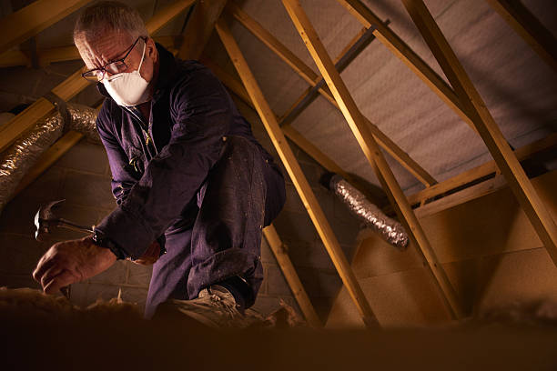 Best Residential Insulation in Yuba City, CA